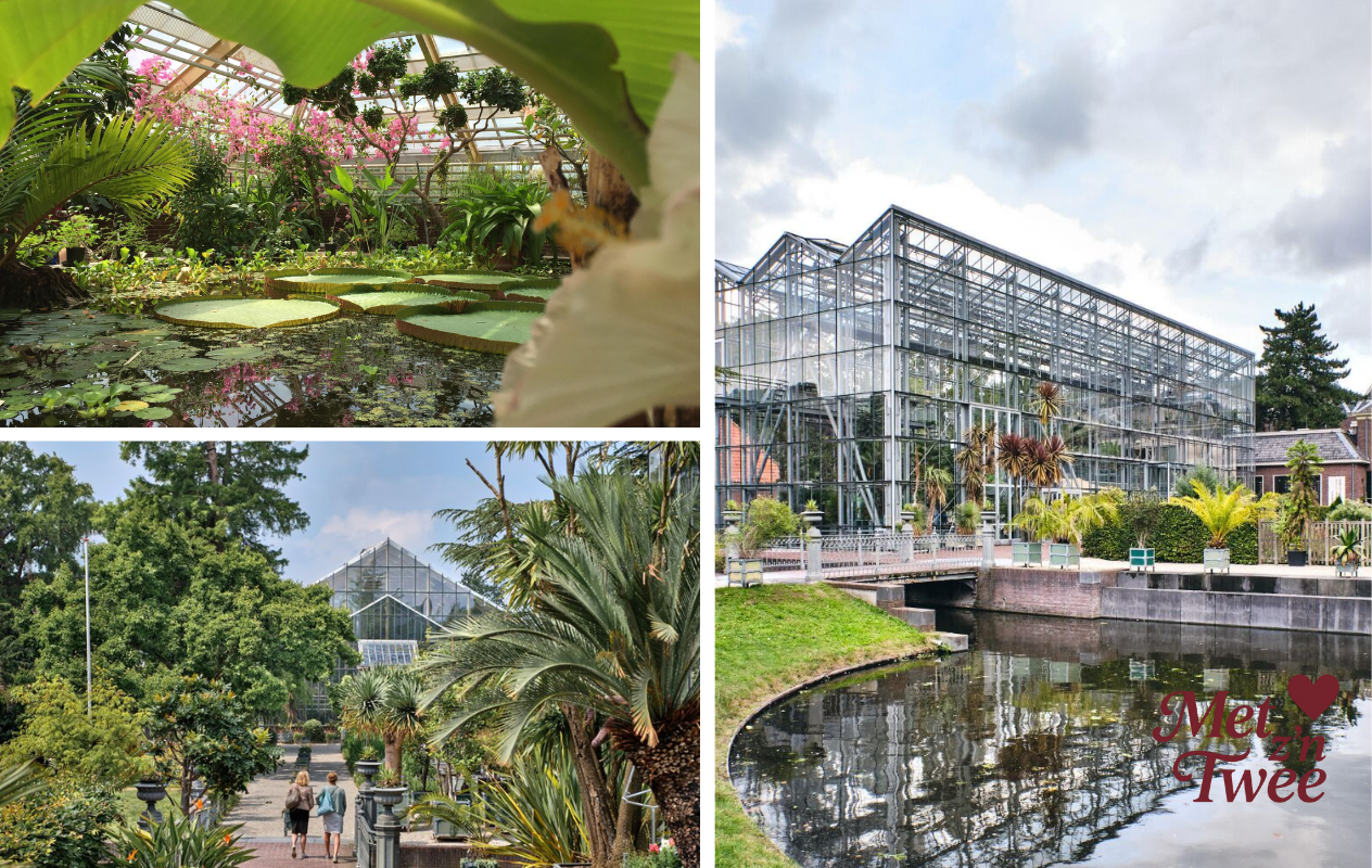 Hortus botanicus Leiden | Botanische tuin